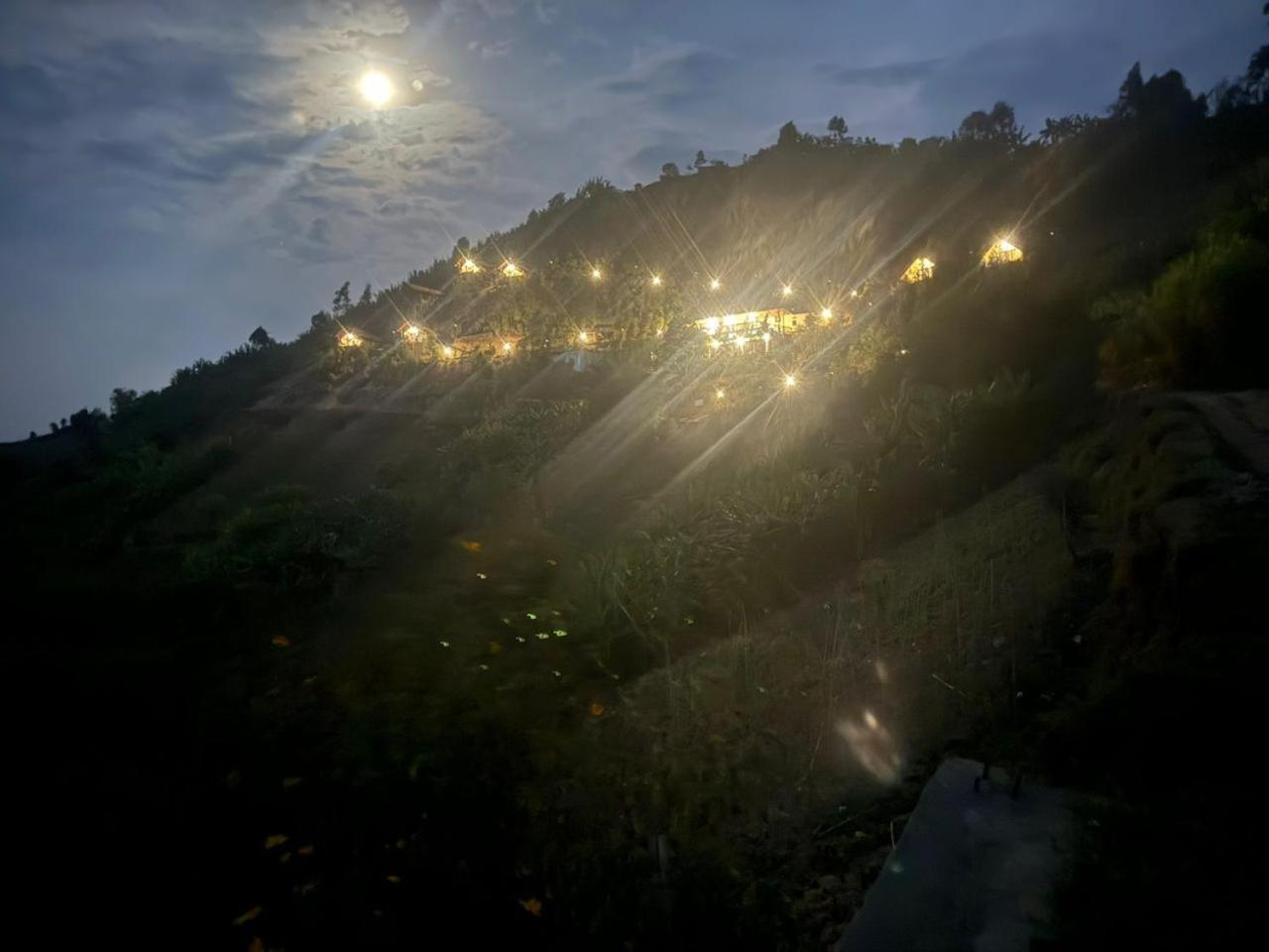 My Hill Eco Lodge روهينجيري المظهر الخارجي الصورة